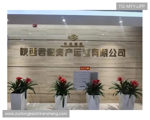 尊龙网站官方直营网确保平台运营的透明度与合法性